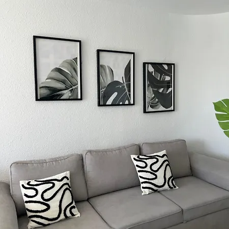 The Cozy Palm