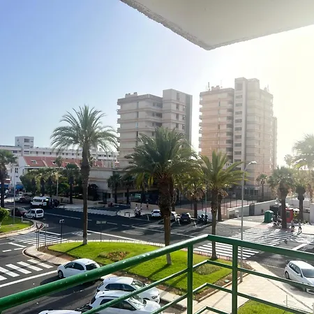 The Cozy Palm 아파트 *